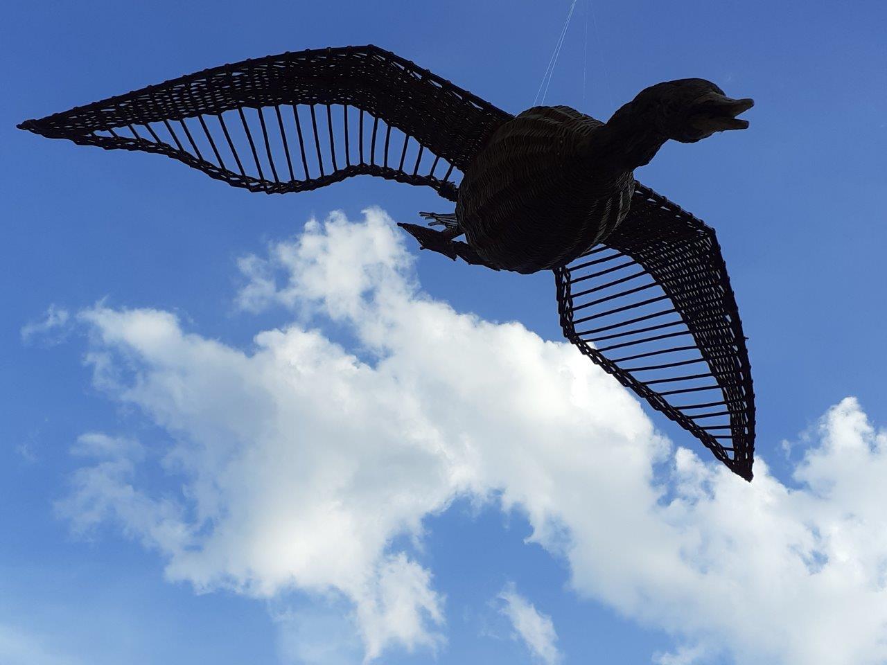 fliegende Gans