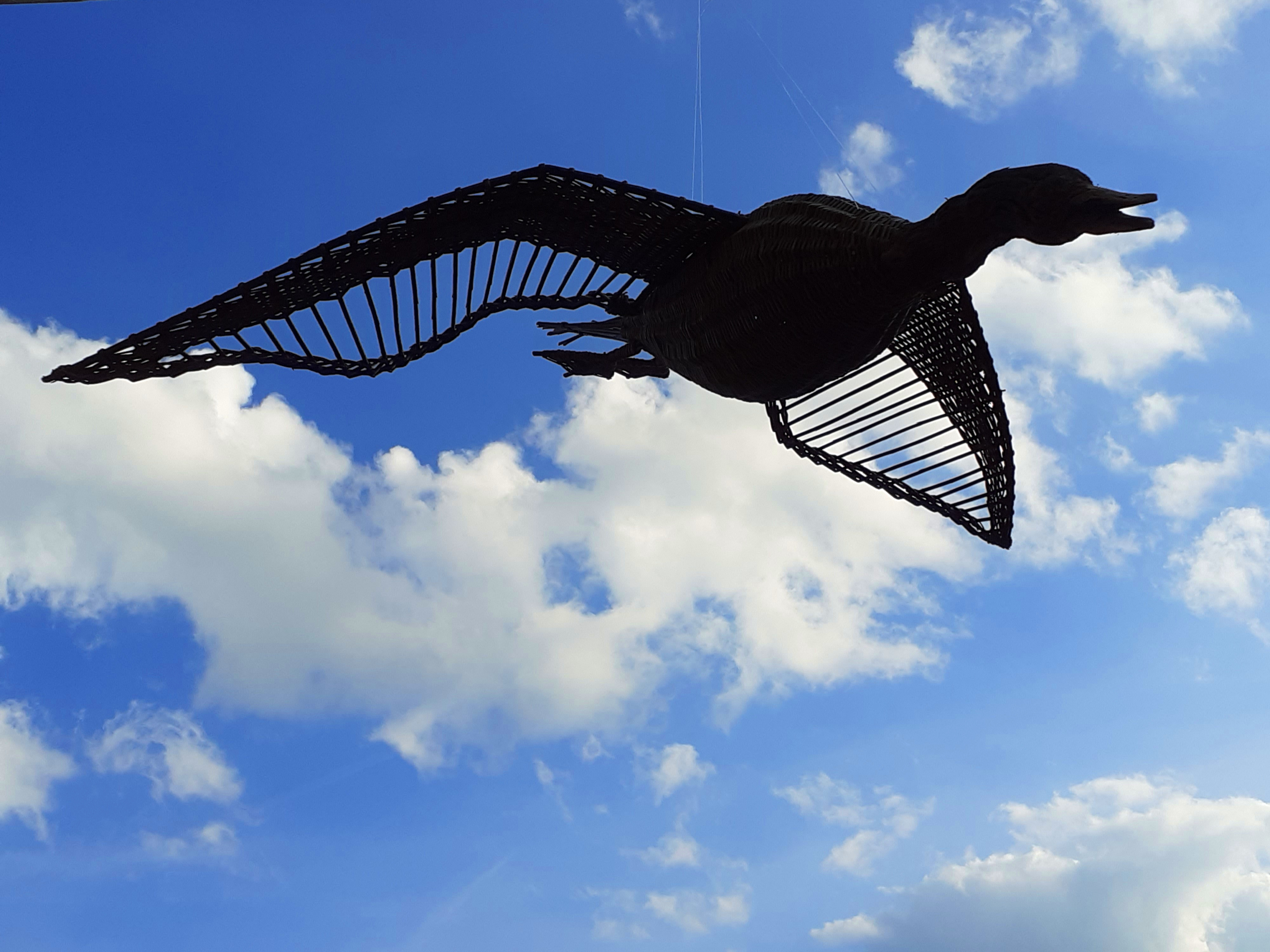 geflochtene Gans