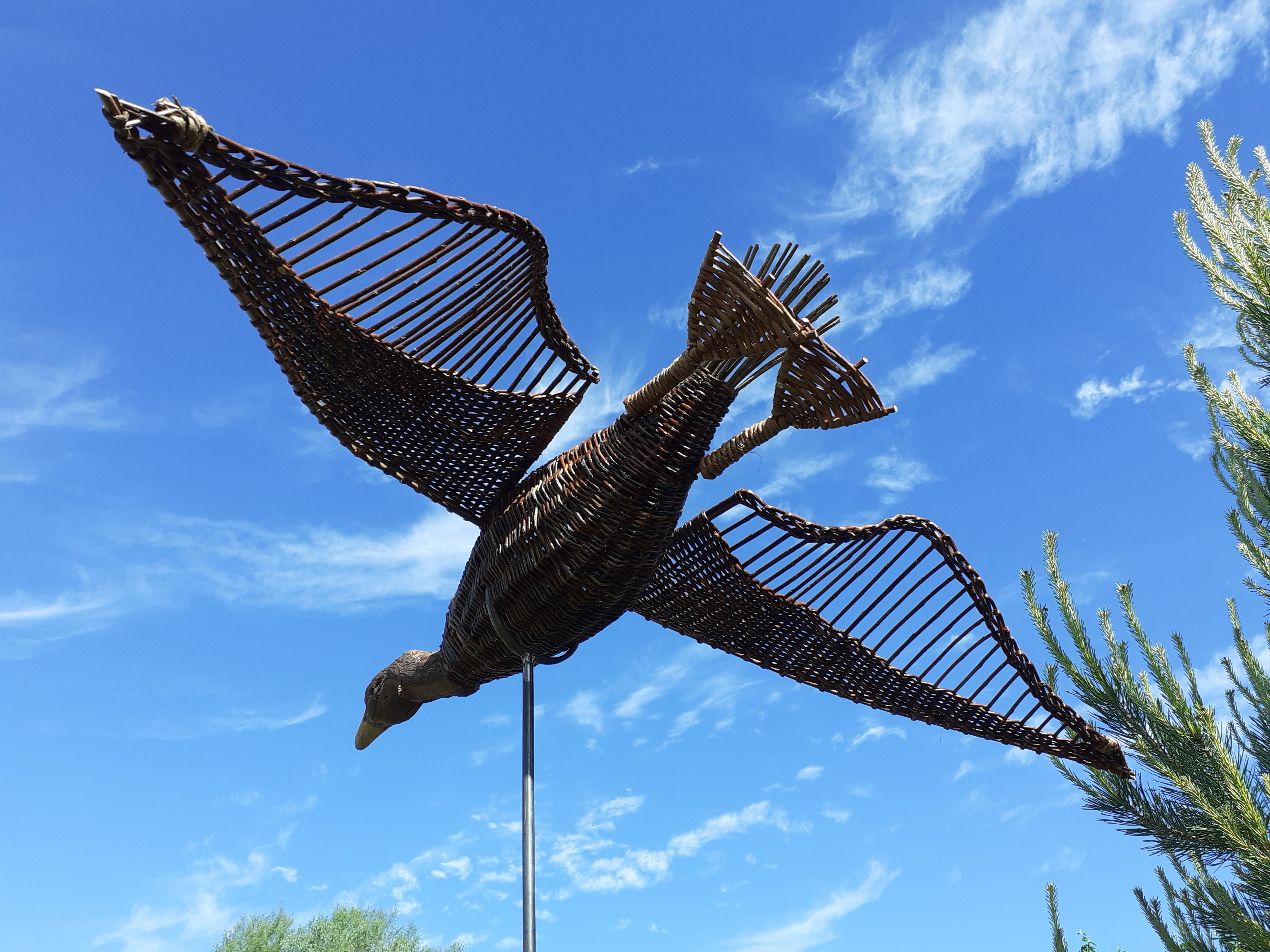 fliegende Gans