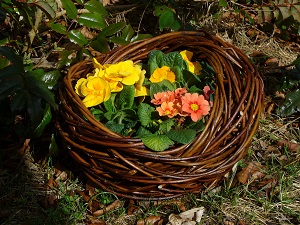 Nest, gewurschtelt