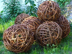Weidenkugeln, gewurschtelt